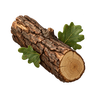 Oak